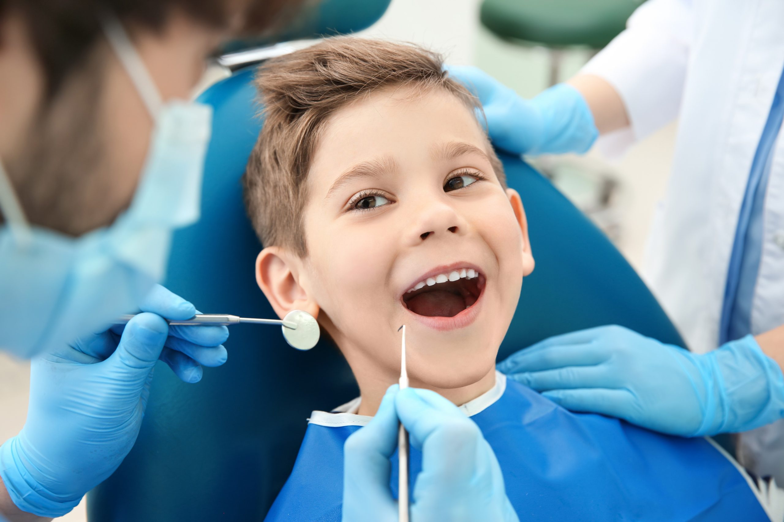 Toddler's Dental Checkup